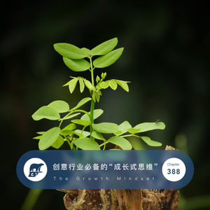 388 / 创意行业必备的“成长式思维” - The Growth Mindset