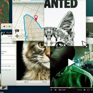 心理学细读《别惹猫咪》：虐猫背后震惊全球的凶杀案【迷影派081】