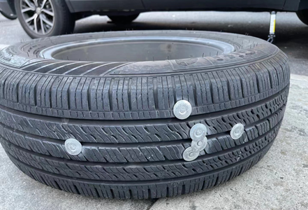 验证了:工作4天挺好的,脑花不会老,老鼠能长角 | 新科学脱口秀 No.3