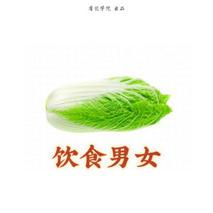055《饮食男女》01 有一种巨匠可谓大师