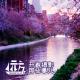 【杂谈】开春摄影那些事儿 Vol.10