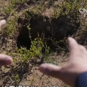 墓地里的无名白骨