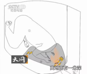 江苏女尸案(下)