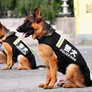 功勋警犬咬住的“杀人犯”
