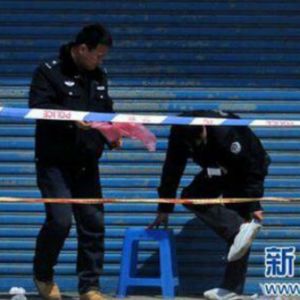 辽宁鞍山周于欣杀人案