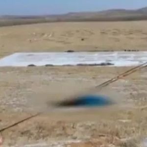 一具冻僵的女尸和一份藏起来的离婚诉状