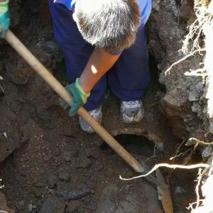 “失踪”的女儿