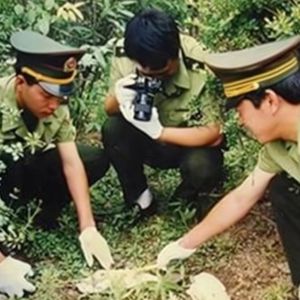 棉花地里的女尸