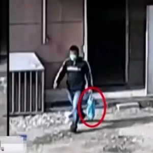 坠楼的女人(下)