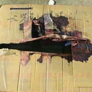 一宗诡异的快递(上)【欢迎订阅VIP专辑《大案纪实》】