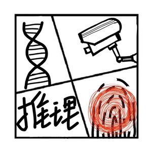 217.罪与罚 | 警察是怎么破案的