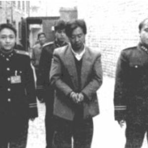 他专挑幼女下手，两年内奸淫数十名幼女