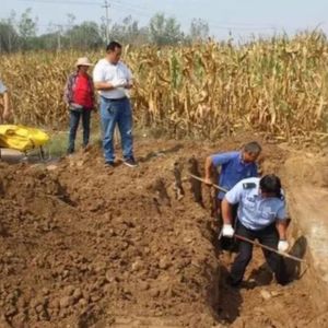 蹊跷的“自杀”案