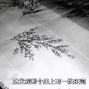 迷失雷雨夜(上)