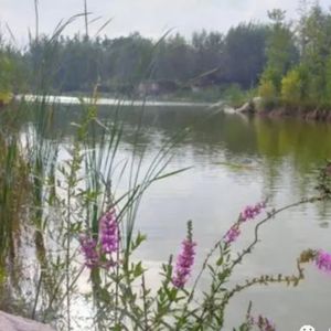 98年惠济河奸杀案