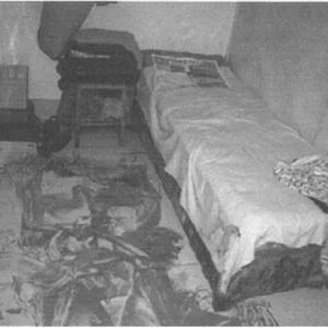 山东女青年深夜被害,11年后真凶落网