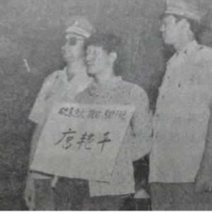 辽、吉、冀、晋系列流窜杀人抢劫轮奸案凶手被绳之于法(2)