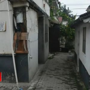 安静的“邻居”