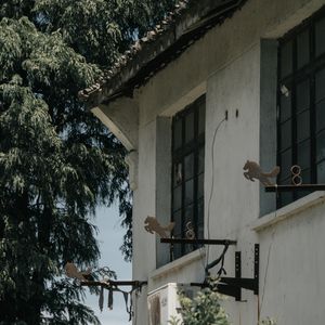 在无锡荡马路 瓦屑坝