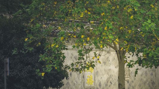 在无锡荡马路 北禅寺巷丨学前街丨健康路