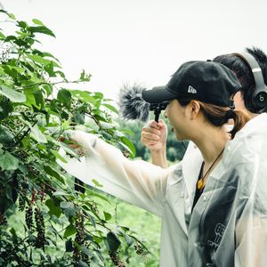 在无锡荡马路 杨图里(阳山)