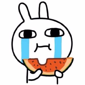 真相：有什么人们所不愿意接受的真相