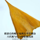 把落后的帽子甩到太平洋哪边:六代机与076的猜想浅谈