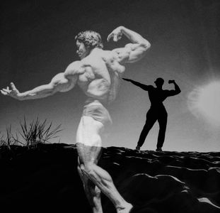 练健身就好，不要碰健美