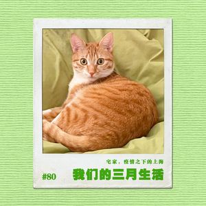 vol.80 我们的三月生活实录：宅家，疫情之下的上海