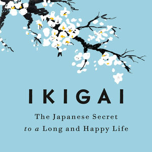 064 哪个 app 和 Ikigai