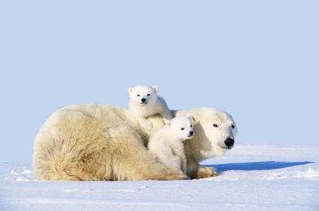 120：三天花了一万七，金牛座稻哥惊呼 - 值！