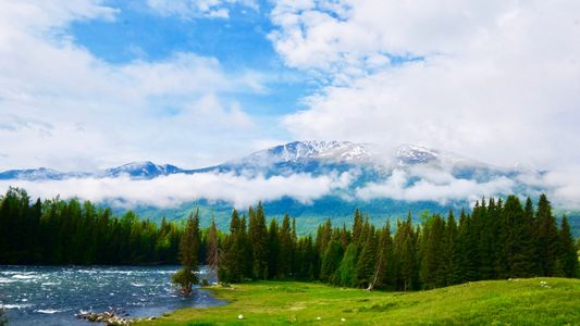 194：一年连去三次还不过瘾…这片神仙疆土凭啥让稻哥如此魂牵梦萦？（最后有彩蛋嗷）