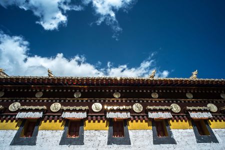 200：走遍各地拍了无数生灵，她为何最钟情这个最后的东方伊甸园？