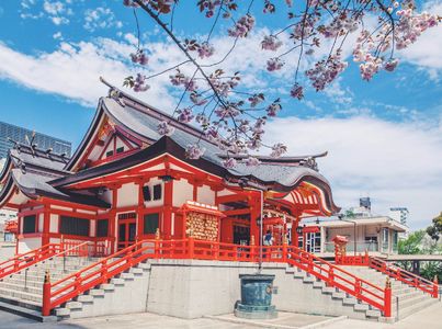 173:日本人眼中的中国游客居然是这样的?