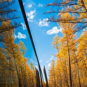 98：内蒙人告诉你，金秋内蒙的正确打开方式