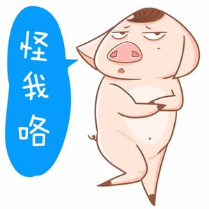 25：旅行遇上猪队友是怎样一种抓狂的体验