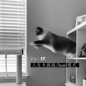 Vol.17 人生大挑战/hard模式