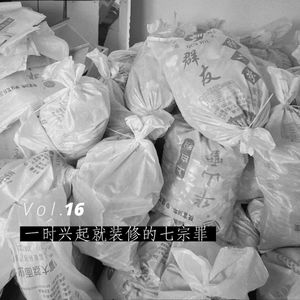 Vol.16 一时兴起就装修的七宗罪,好吧我又搞砸了