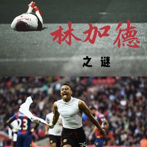 Ep06：林加德之谜