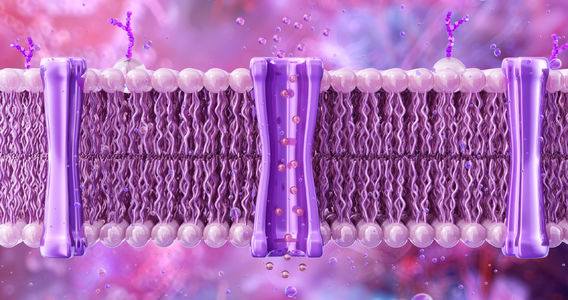 Marcos Eberlin and Jonathan Wells on Life’s Problem-Solving Engineering