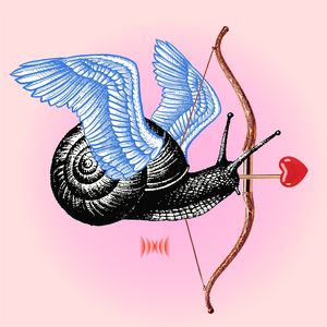 Snail Sex Tape
