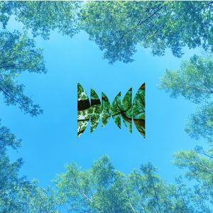 Forests on Forests