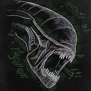 《异形》太空中没人听到你的呼救