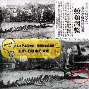 55.抓马调频：关于龙的传说，脑洞与坠龙事件