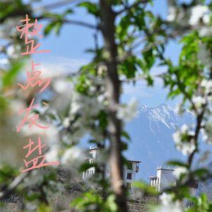 57.咸聊 | 春游丹巴小记