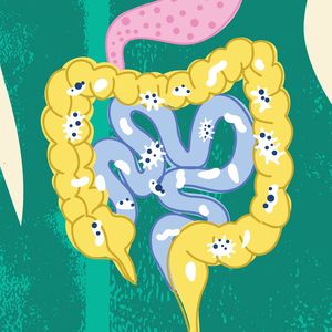 Should I take a probiotic? And other gut questions, answered