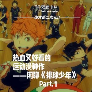 热血又好看的运动漫神作!——闲聊《排球少年》Part.1