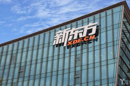 俞敏洪与新东方的组织冲突