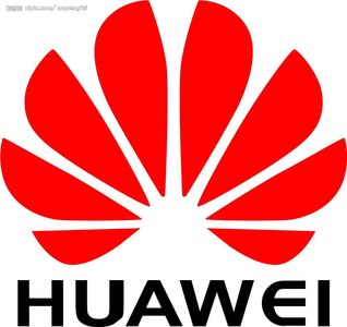 华为让人力资源管理支持企业的战略成长