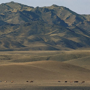 【直播回听】2023年上半年经管新书《收购深发展》